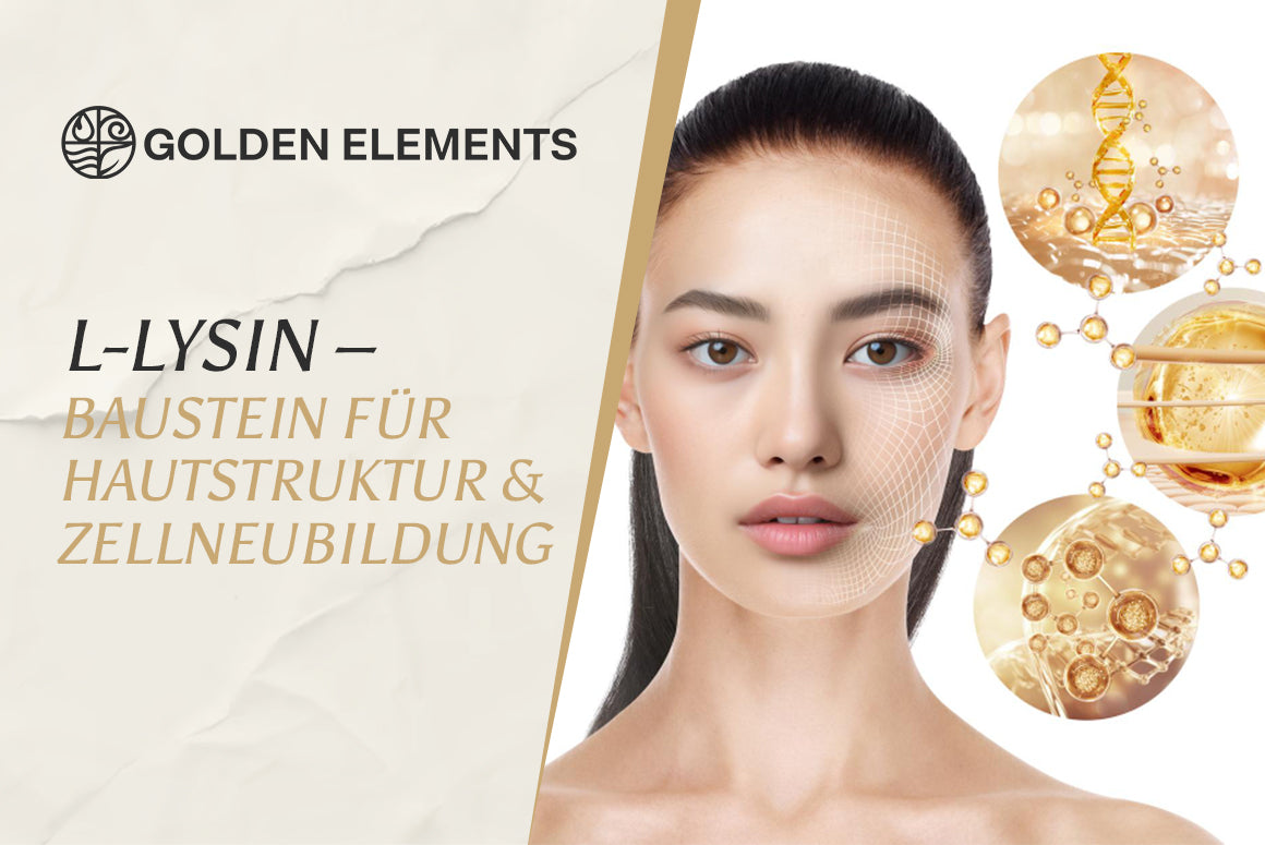 L-Lysin: Die essentielle Aminosäure für Wachstum, Immunsystem & innere Balance